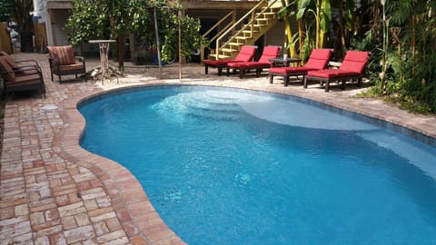 Backyard tropical oasis with heated swimming pool