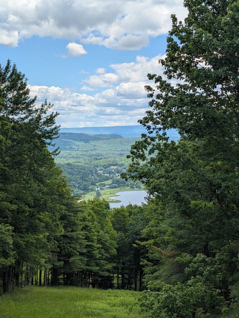 View from the balcony 
