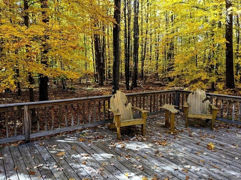 Fall at the Pine House.