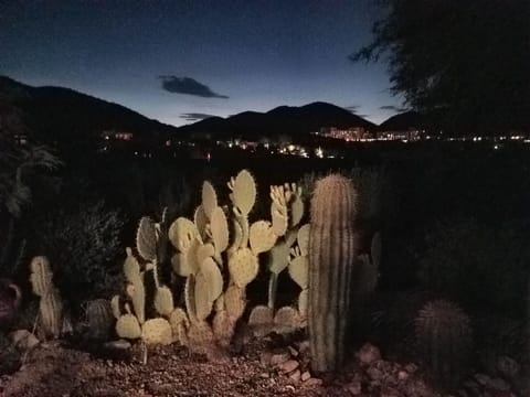 Evening view from patio.