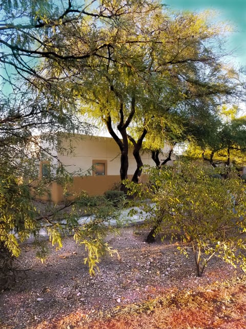 South side of the casita.