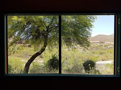 View from guest bedroom.
