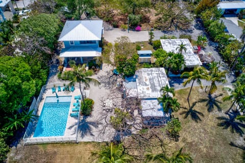 Aerial View of Property