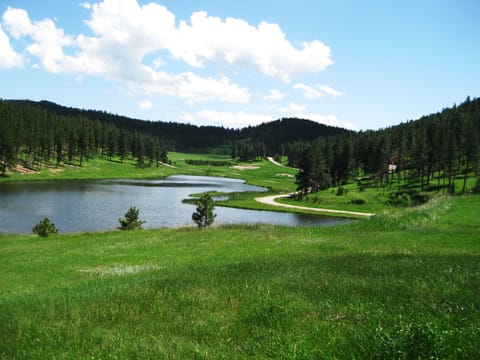 View from deck to the right.
