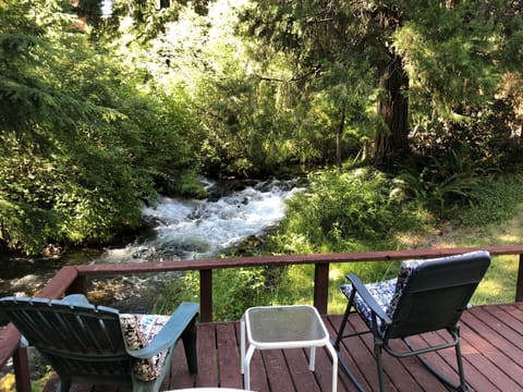 View from our lower deck by the creek.