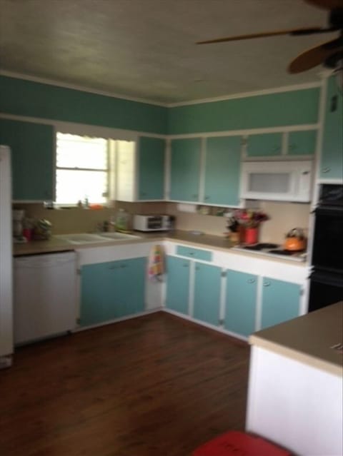 Large, bright Kitchen