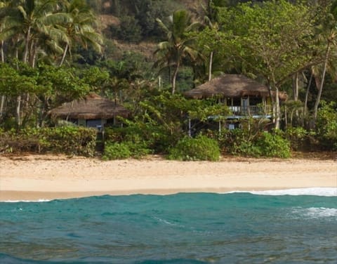 View of both Private Palaypa's.
See other ad for Big Palaypa  