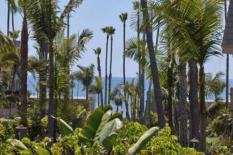 G building facing the center garden with a nice view.  A peaceful location.