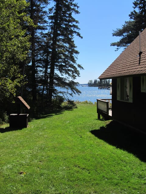 East side lawn with boundary privacy