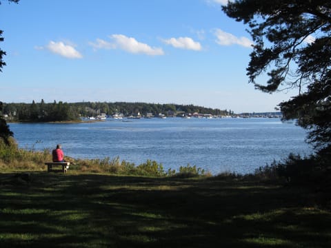 Enjoying the peaceful view