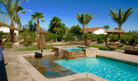 New Date Palms to look at from sun shelf in pool