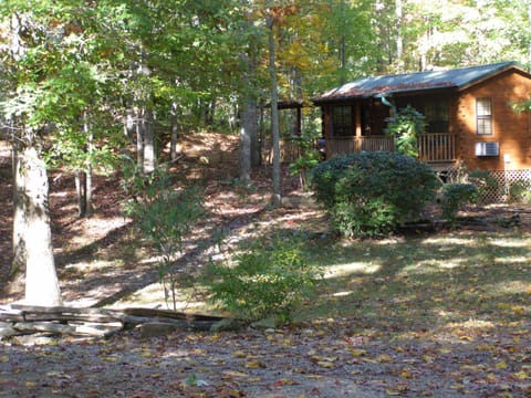 Miss Jo's Cabin 