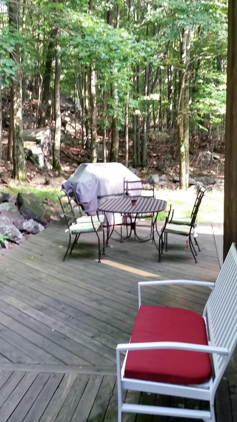 Deck Side View Facing the Back Yard 