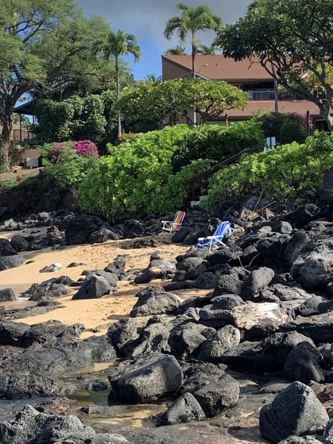 Seasonal Sandy Beach at North End of Property