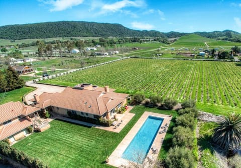 Aerial View of the Estate with A Private Vineyard