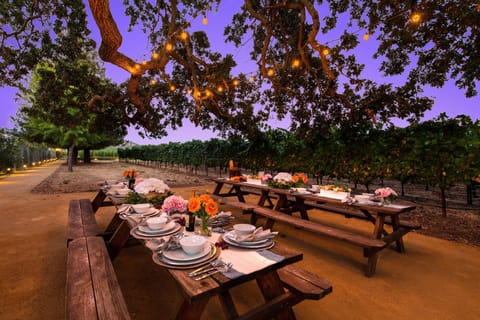 Enjoy intimate gatherings under our old, vintage oak tree!