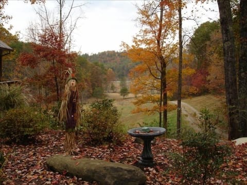 Colorful fall at the cabin