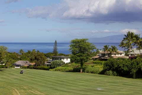 View from main lanai