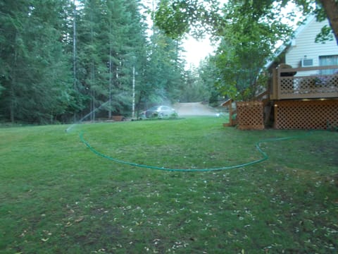 Looking up the hill from Savage Lake