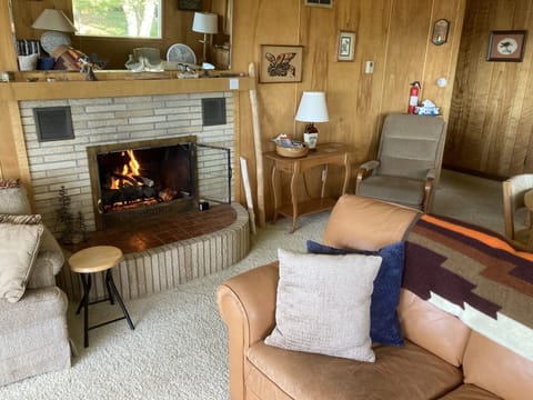 Living Room Gas Fireplace