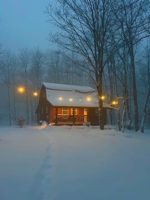  Cabin early December 2024