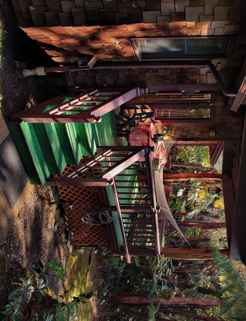 Your private entry and porch to Volcano Village Serenity Suite. Hammock awaits!