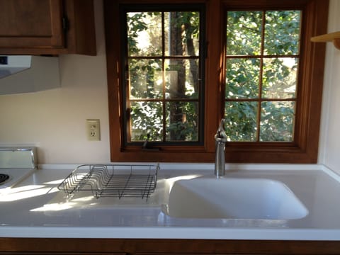 Corian sink and counter. 