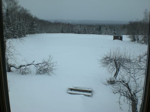 Winter view out upstairs living room window