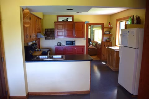 View from kitchen looking into the downstairs living room.