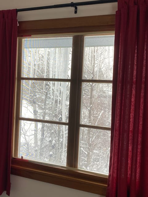 Winter view from the guest bedroom