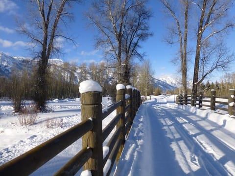 Winter wonderland in Jackson Hole
