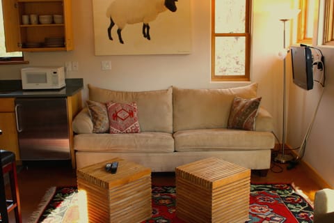 Hide-away sofa in living area