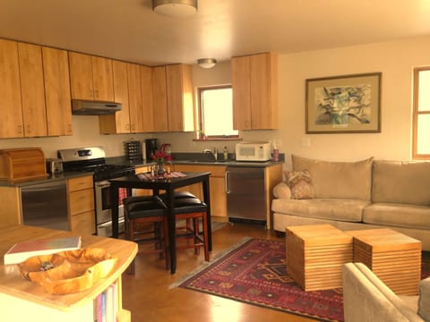 Living/Kitchen area