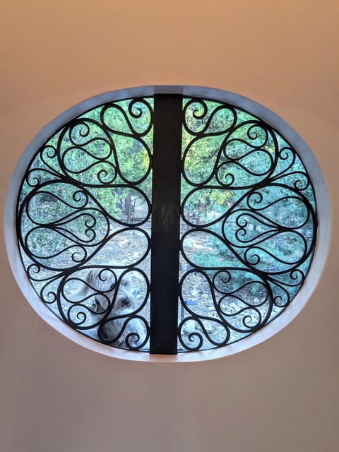 Window with view of backyard