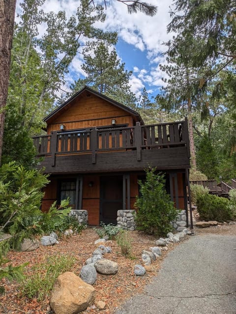 Looking from the driveway to the house