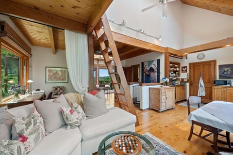 View of main living area with view of the loft ladder