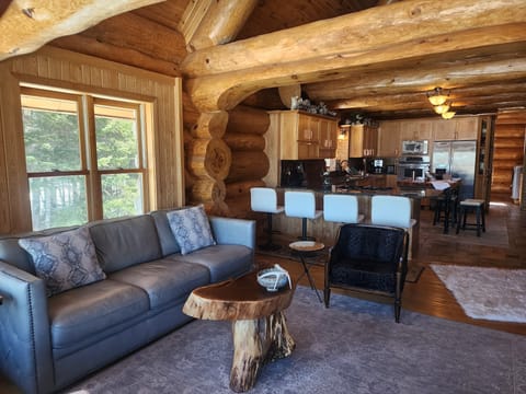 Main floor family room