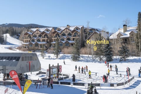 Snow and ski sports