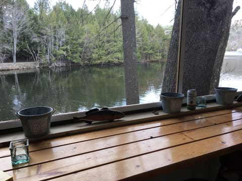 View from screened porch
