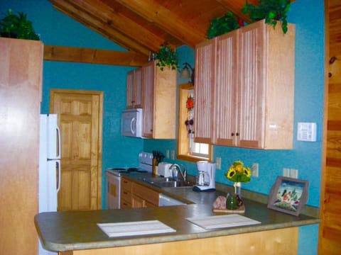 Fully Furnished Kitchen