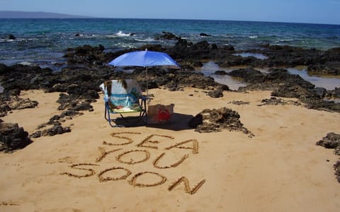 Book Leis of Luxury and Sea You Soon!