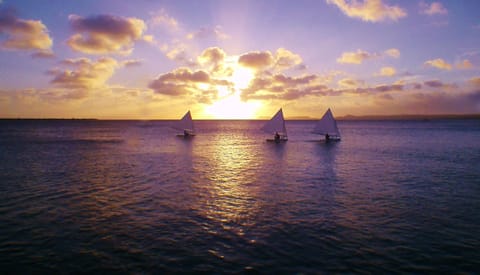 Our backyard view, every day.