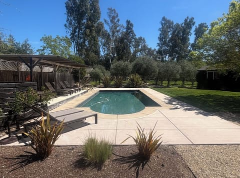 Pool between pergola shaded sitting and grassy area, plus mature olive trees