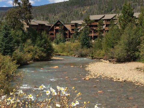 beautiful Snake River flowing in front of condo