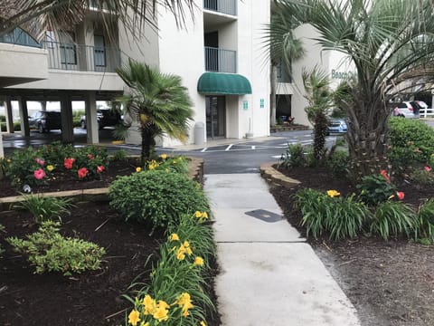 Street View Entrance