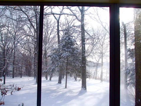 Looking out the picture window at the point