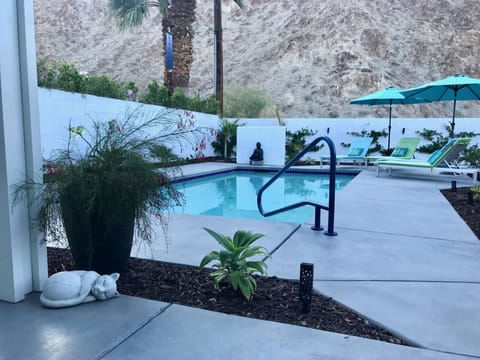 Back yard salt water pool with spa jets and view of the mountains