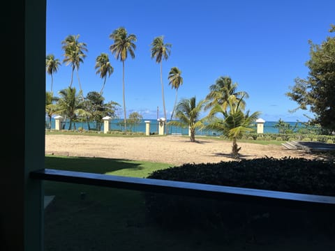The View from Our Balcony