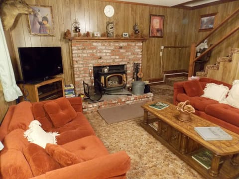 Wood burning stove and 40' smart TV
