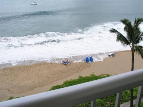 Another day in Paradise